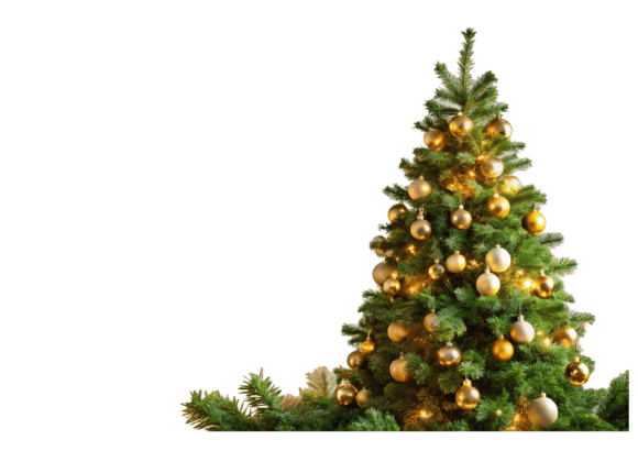 Review: Merry Christmas Green Tree Icon Isolated